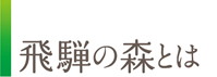 飛騨の森とは