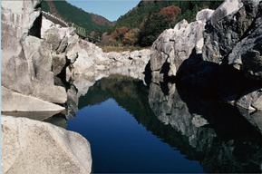 中山七里