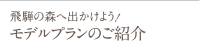 飛騨の森へ出かけよう！モデルプランのご紹介