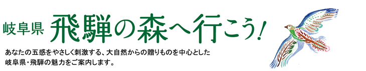 岐阜県飛騨の森へ行こう！