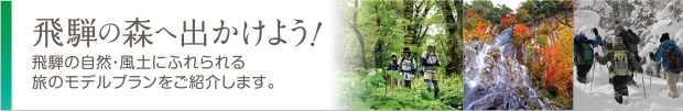 飛騨の森へ出かけよう！飛騨の自然・風洞にふれられる旅のモデルプランをご紹介します