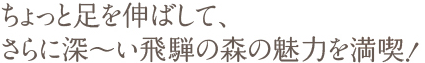 ちょっと足を伸ばして、さらに深〜い飛騨の森の魅力を満喫！