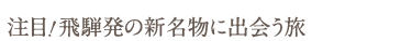 注目！飛騨発の新名物に出会う旅