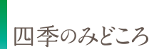 飛騨へ出かけよう！モデルプランのご紹介