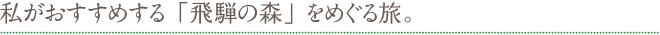 私がおすすめする「飛騨の森」をめぐる旅。