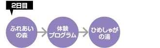 2日目：ふれあいの森→体験プログラム→ひめしゃがの湯