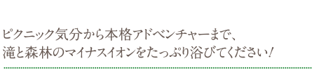 ピクニック気分から本格アドベンチャーまで、滝と森林のマイナスイオンをたっぷり浴びてください！