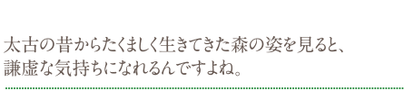 太古の昔からたくましく生きてきた森の姿を見ると、謙虚な気持ちになれるんですよね。